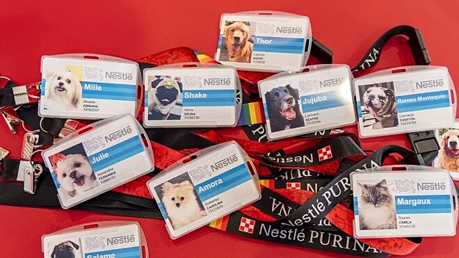 Nestle Pet Friendly no trabalho presencial