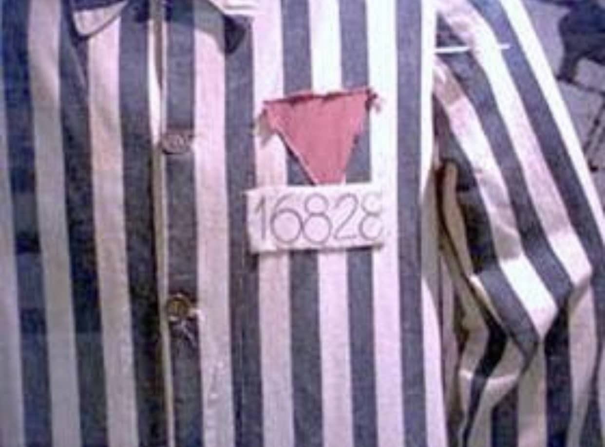 triângulo rosa holocausto
