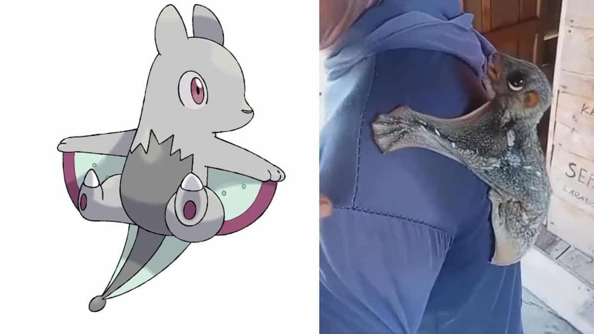 Ilustradora transforma Pokémon em Digimons – Fatos Desconhecidos