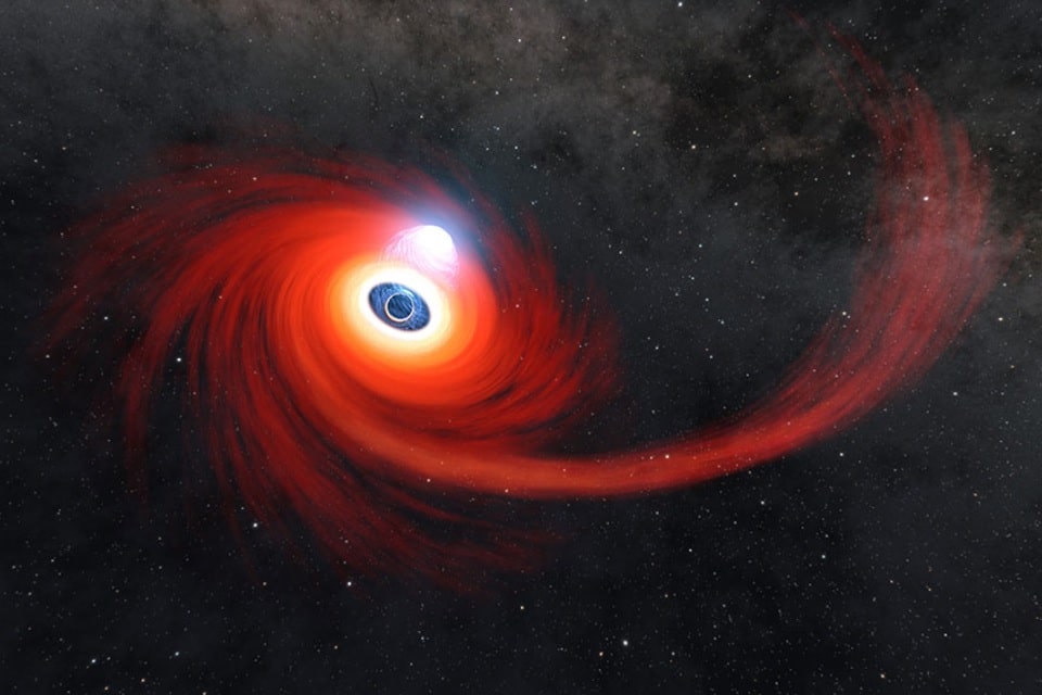 Flagrante de um buraco negro devorando uma estrela à deriva foi feito pela NASA