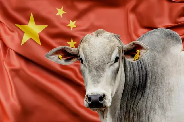 China retoma importações de carne bovina do Brasil