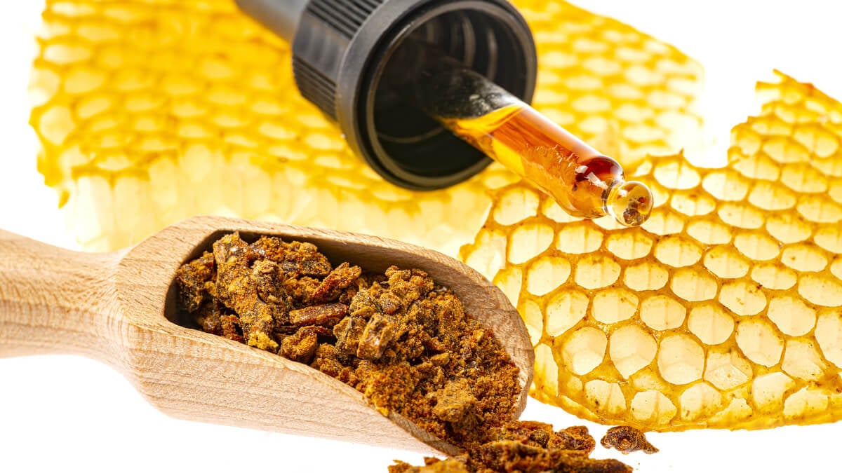 Própolis melhorou imunidade e amenizou inflamação crônica em pessoas que  vivem com HIV