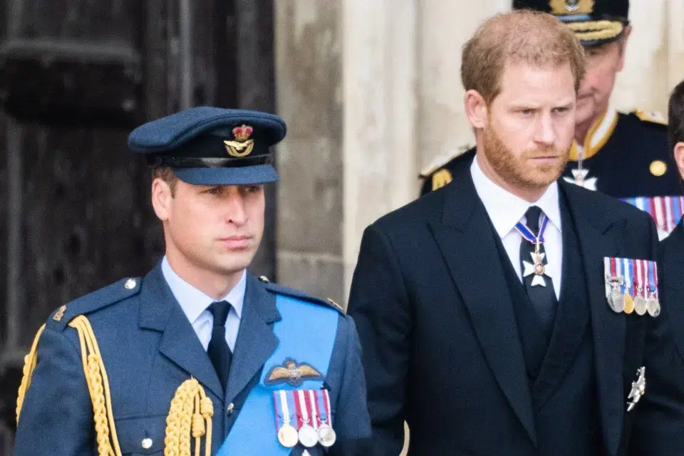 Demonstração de carinho entre príncipe William e Harry é flagrada em vídeo!