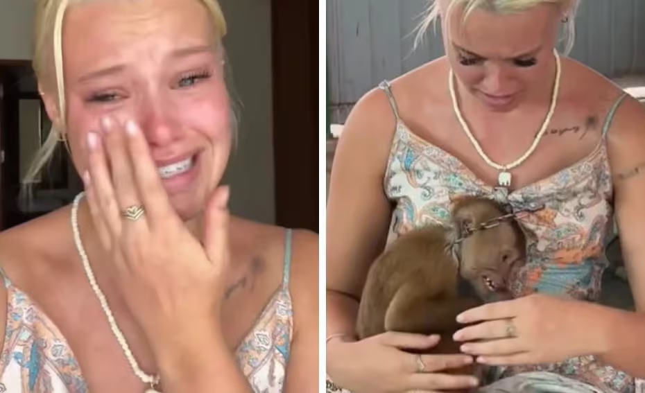 Influenciadora desabafa em vídeo após experiência controversa com macaco em atividade turística