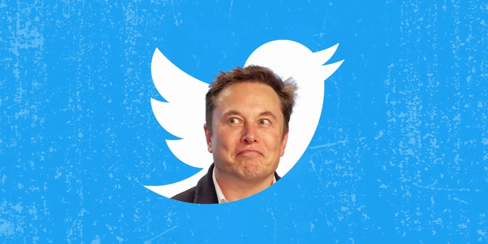9 atitudes questionáveis de Elon Musk como dono do Twitter