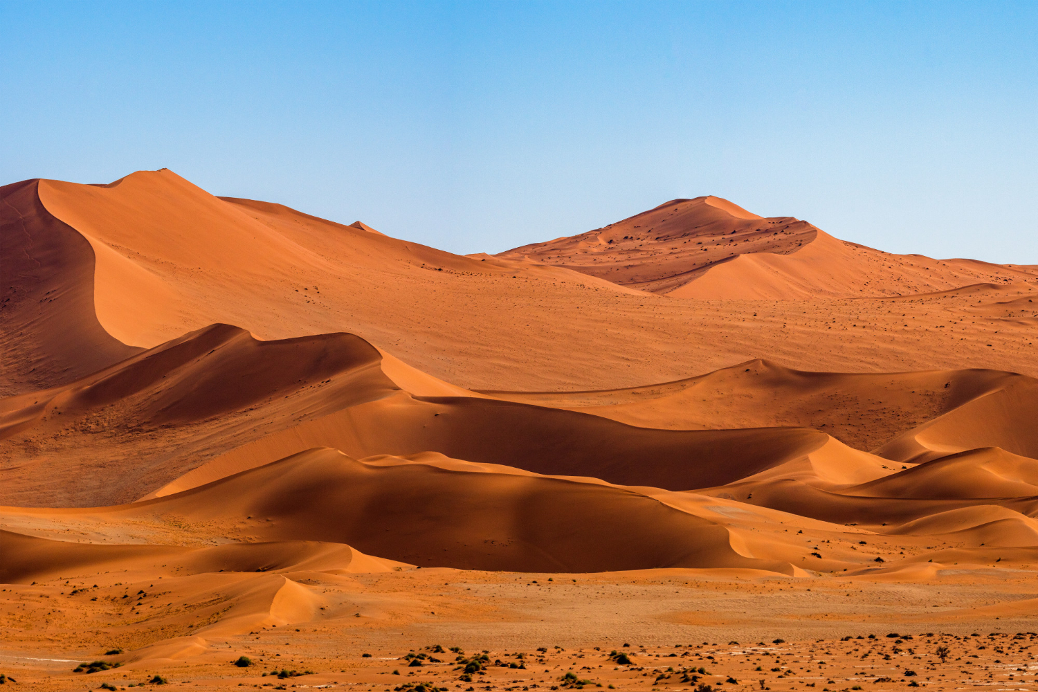 Qual é a profundidade da areia no Saara? O que há por baixo? É uma  transição suave ou é como areia pura despejada diretamente sobre uma  superfície previamente plana? - Quora