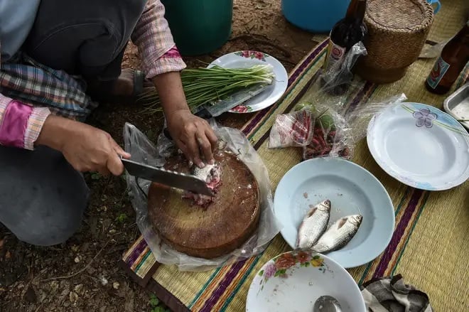 Uma única mordida nesse prato tailandês pode causar câncer de fígado