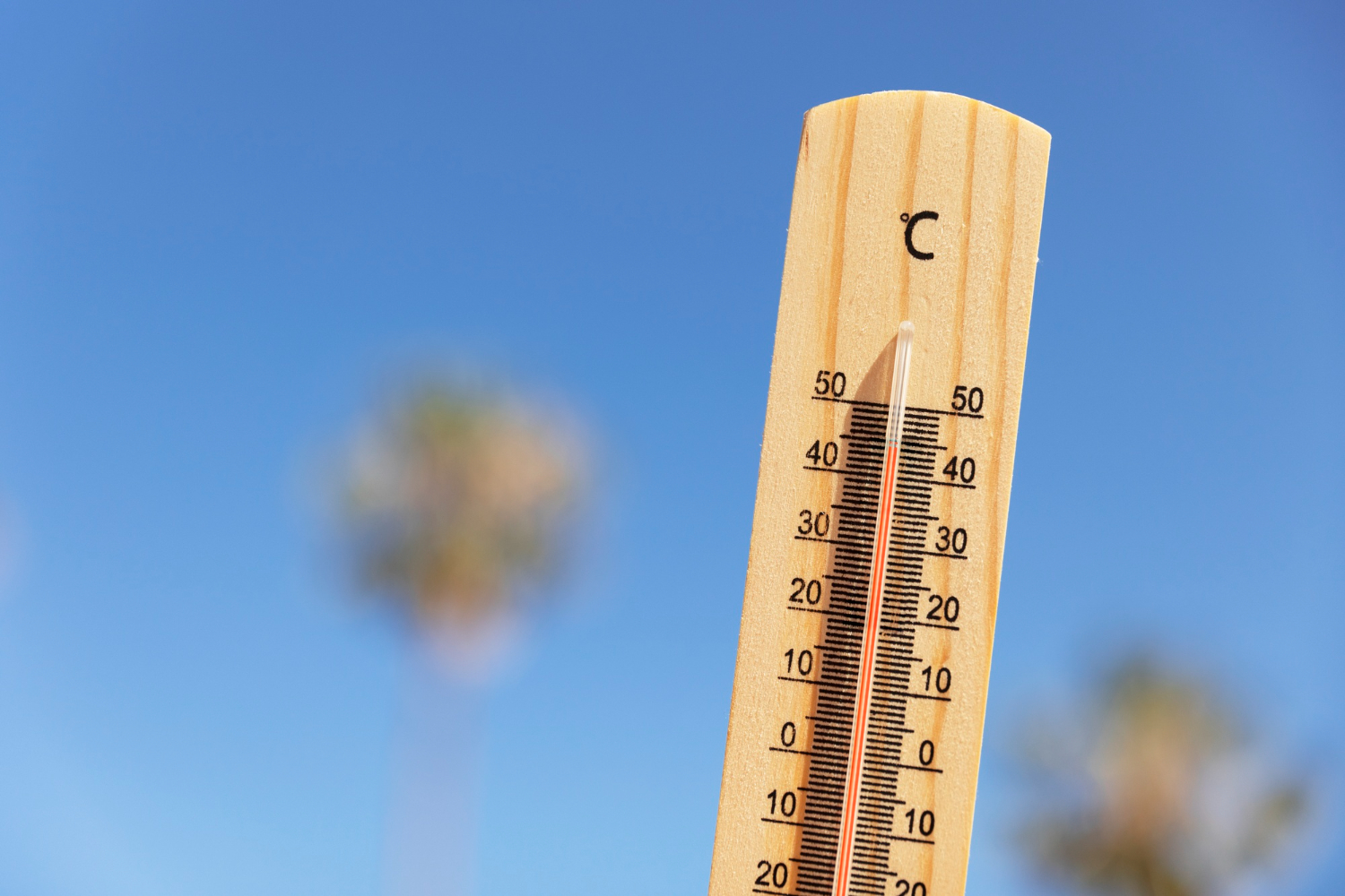 2023, ano mais quente da história, teve média 1,48°C acima dos níveis pré-industriais