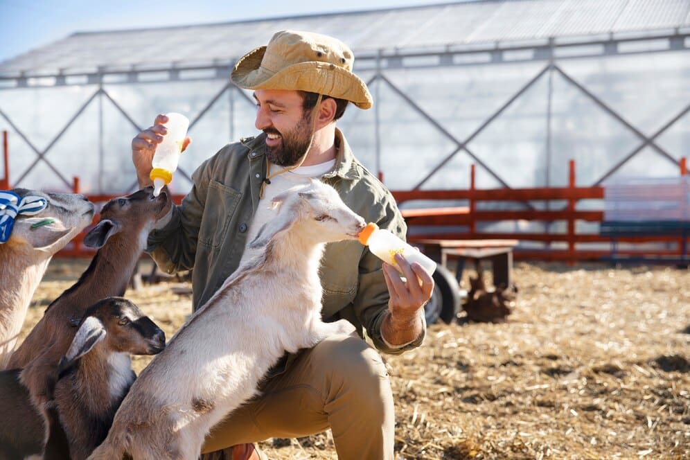 Humanos transmitem mais vírus para animais do que o contrário; entenda