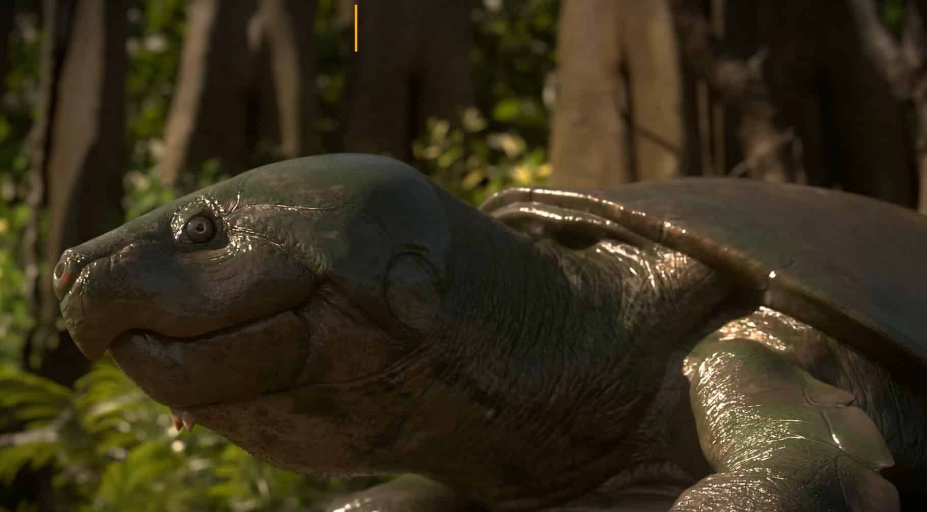 Maturin: conheça a tartaruga gigante da Amazônia de 40 mil anos descoberta por pesquisadores