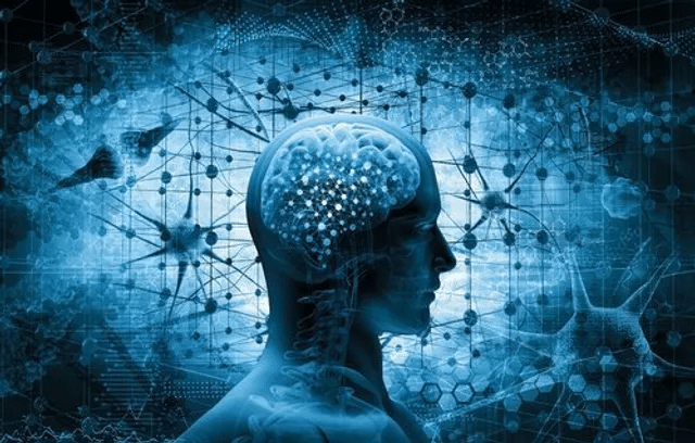 Neurônios zumbi revelam detalhes sobre como cérebro aprende