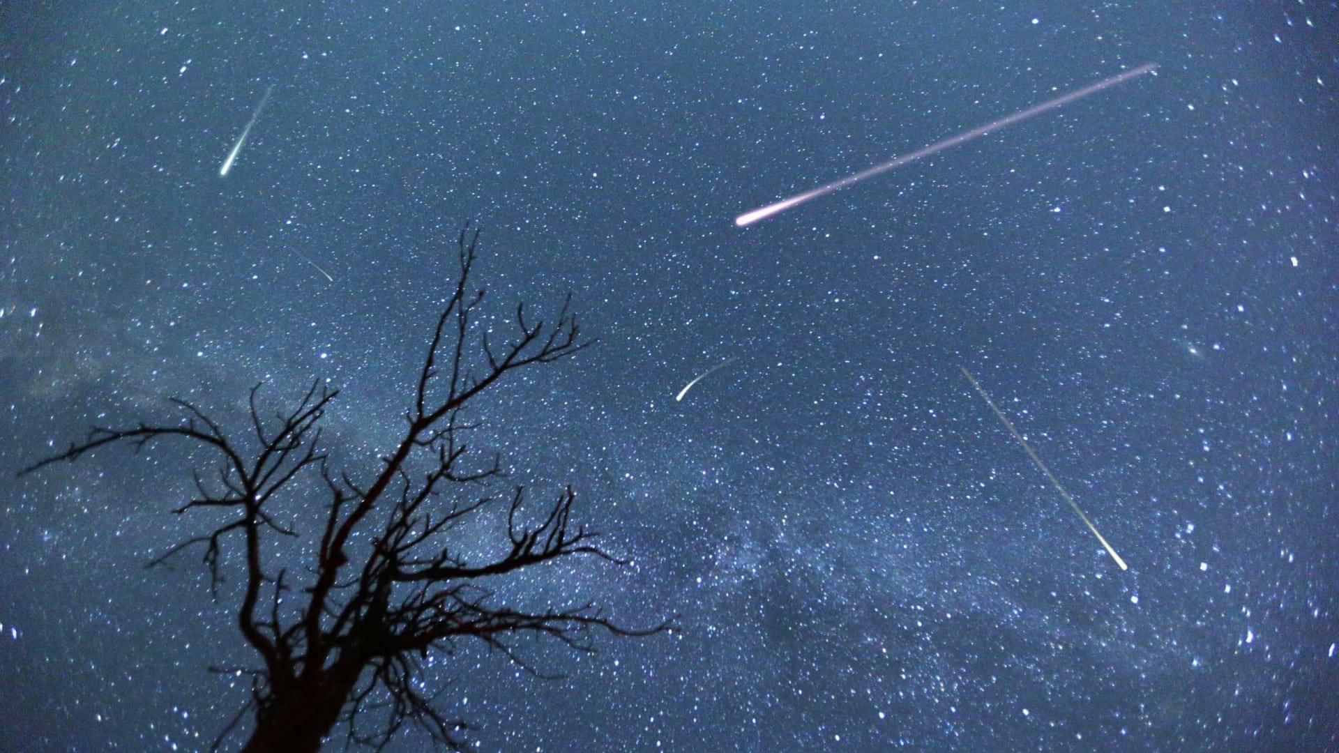 Chuva de meteoros Líridas: como observar o fenômeno