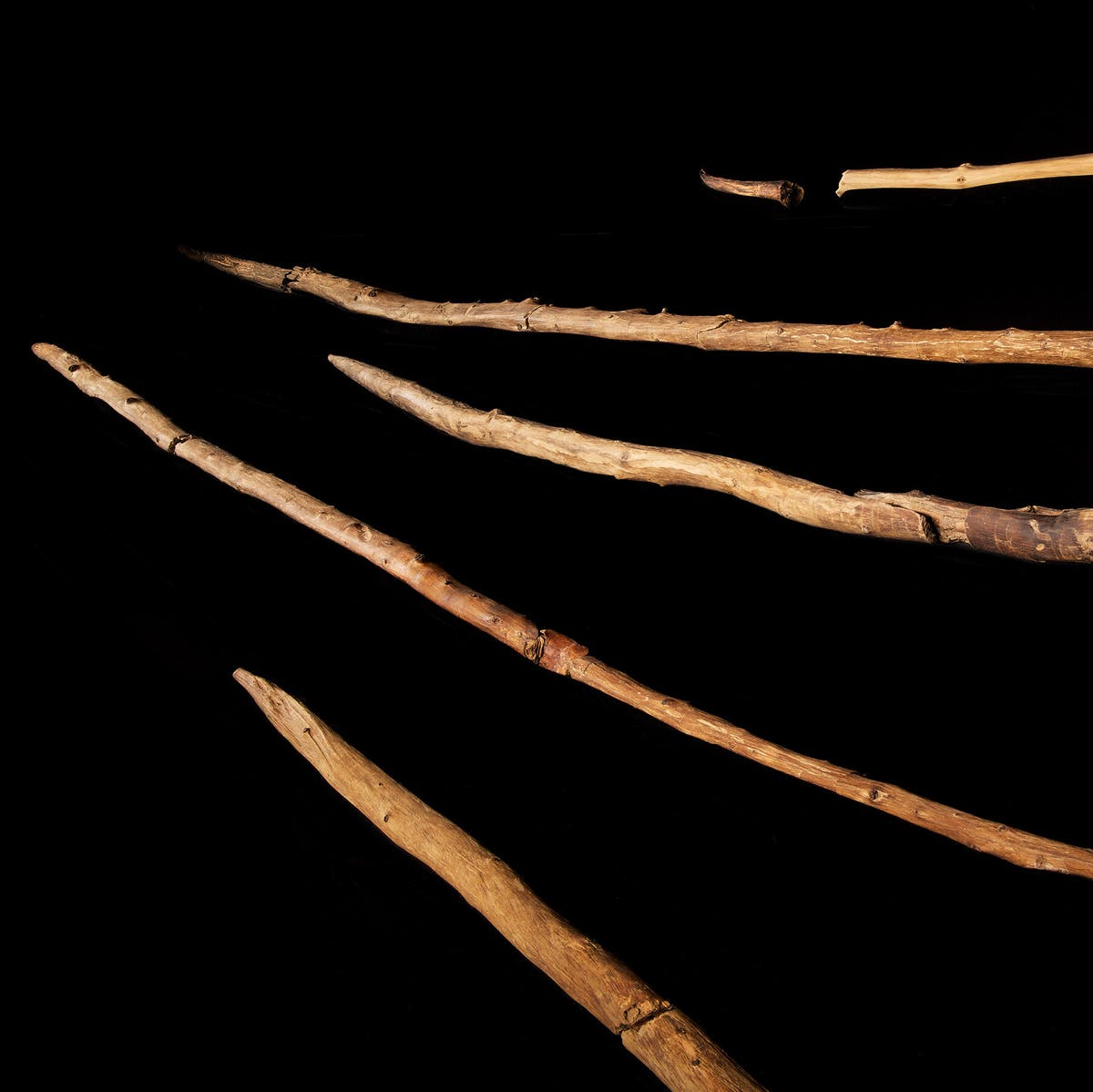 Idade da Pedra ou da Madeira? As novas descobertas que reescrevem a pré-história