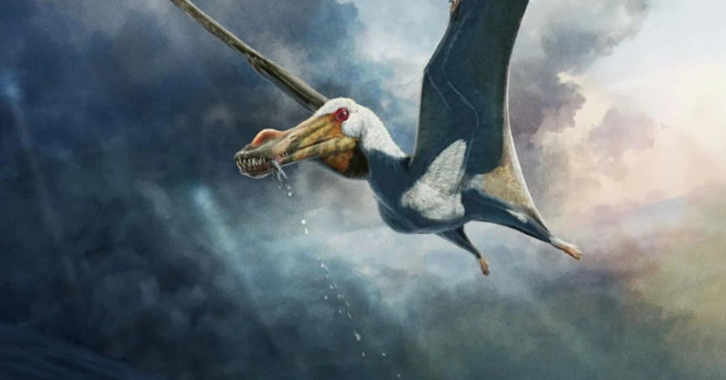 Fazendeiro descobre nova espécie de pterossauro na Austrália