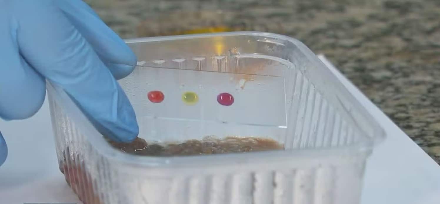Na dúvida se a comida na geladeira está estragada? Invenção brasileira é a solução