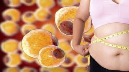 Ciência descobre proteína que transforma estoque de gordura em energia