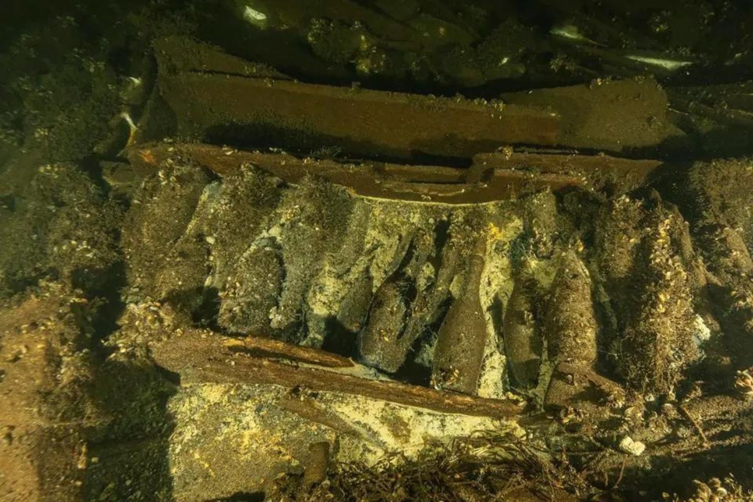 ⁠Cientistas estudam champanhe naufragado no fundo do mar há 170 anos