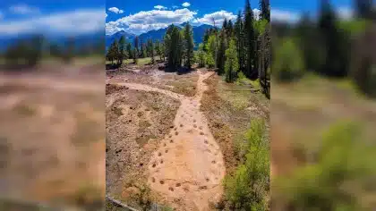 Drone filma a maior trilha com pegadas de dinossauros do mundo