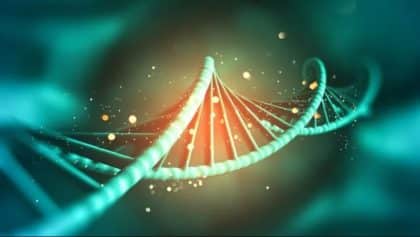 Genes escondidos no DNA humano são identificados pela 1ª vez