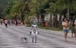 Robô humanoide e cachorro-robô chamam atenção em Niterói – Vídeo