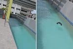 Nadador não autorizado na piscina faz resort pedir ajuda