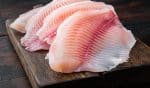 Startup cria carne de peixe em laboratório