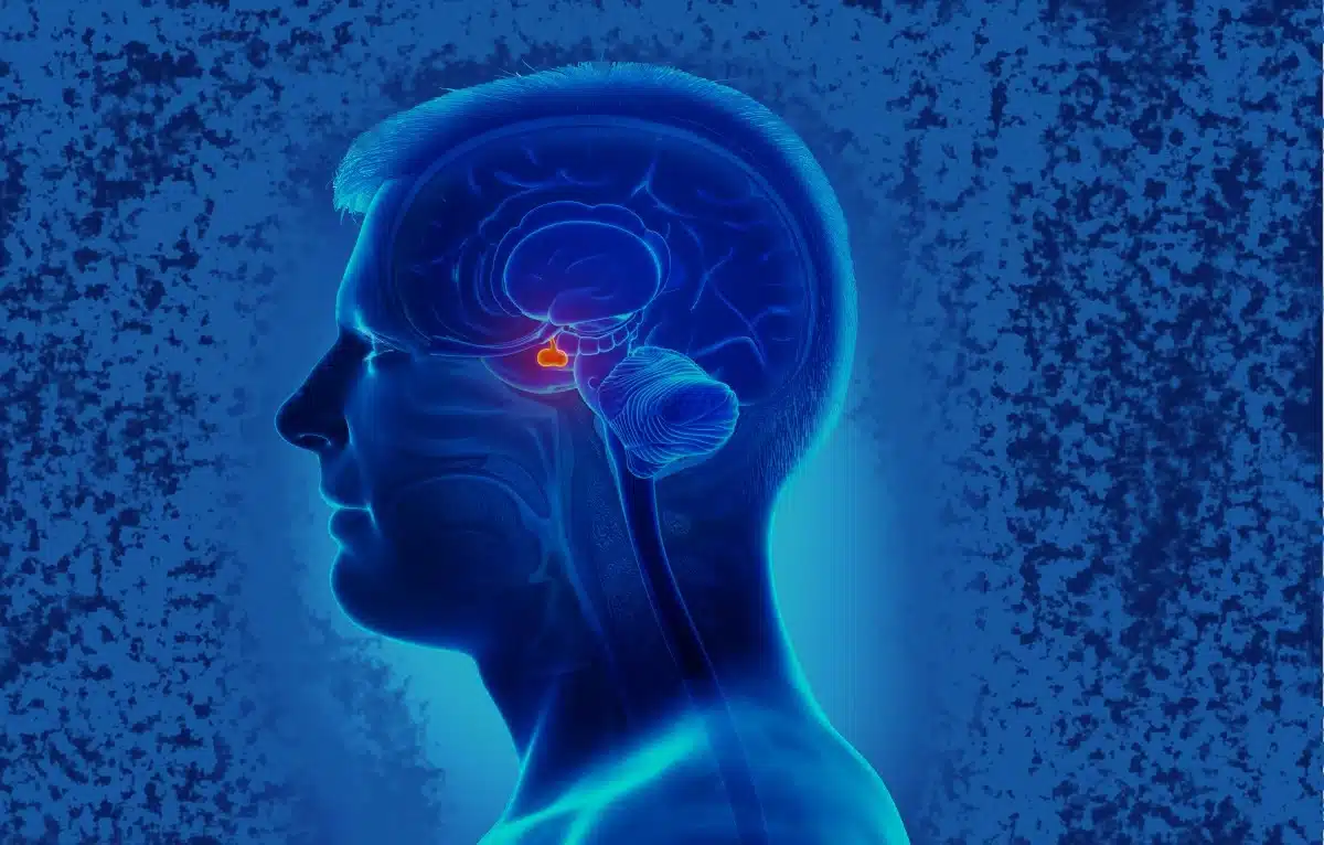 Estímulos no cérebro podem aumentar atitudes de generosidade – Fatos Desconhecidos Estímulos no cérebro podem aumentar atitudes de generosidade – Fatos Desconhecidos