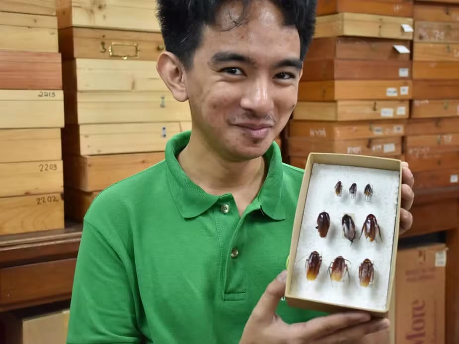 Cristian Luca&ntilde;as &mdash; Foto: Florante Cruz/University of the Philippines Los Ba&ntilde;os Museum of Natural History