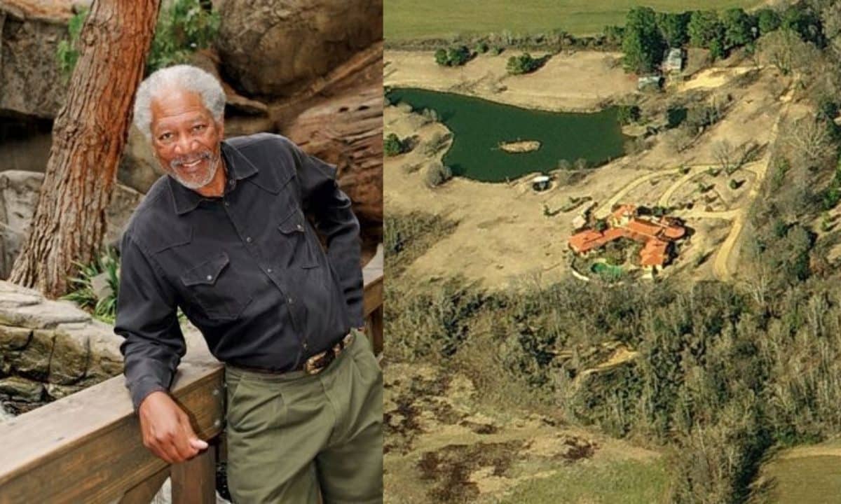 Freeman: “. “Elas não me picaram ainda porque não estou tentando colher o mel ou qualquer outra coisa”