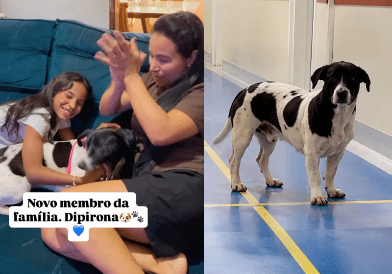 Tania Vieira é o nome da mulher que adotou o Dipirona, cachorrinho que esperou 2 semanas na porta de uma UPA, em Goiânia, pelo tutor que morreu. - Fotos: reprodução/ Instagram/ @tania_vieira_melo