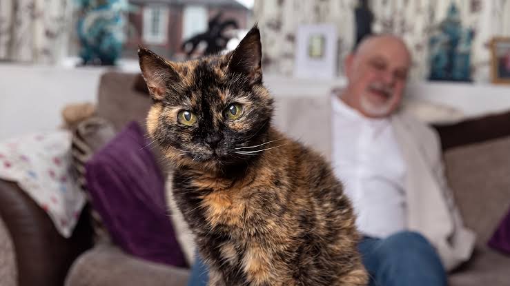 Millie tem 31 anos e sua idade equivale a aproximadamente 146 anos humanos. Foto: Reprodução.