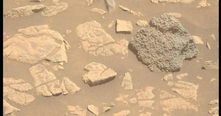 O rover Curiosity registrou cavidades largas e rasas em uma rocha durante sua exploração de Marte.